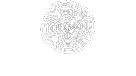 Pizzicante Opificio Gourmet